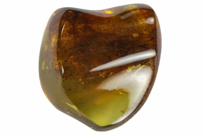 Polished Chiapas Amber ( g) - Mexico #114835